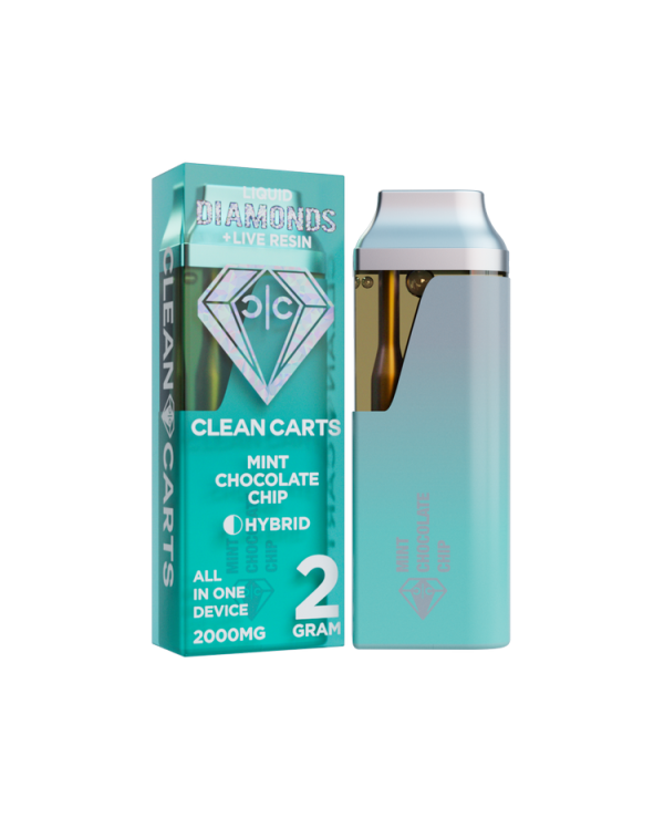 MINT CHOCOLATE CHIP