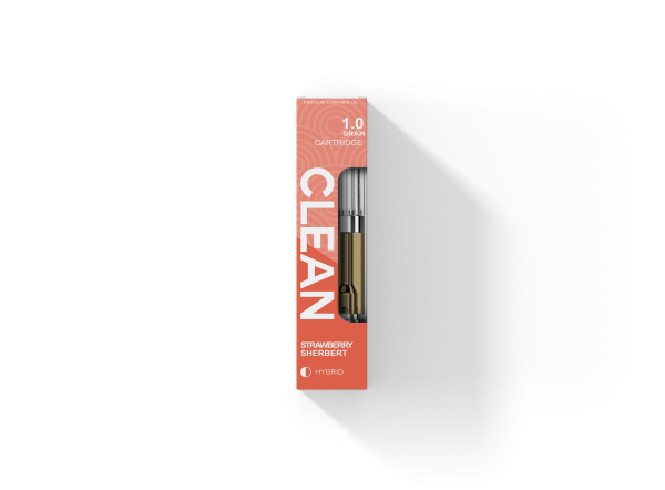 STRAWBERRY SHERBERT